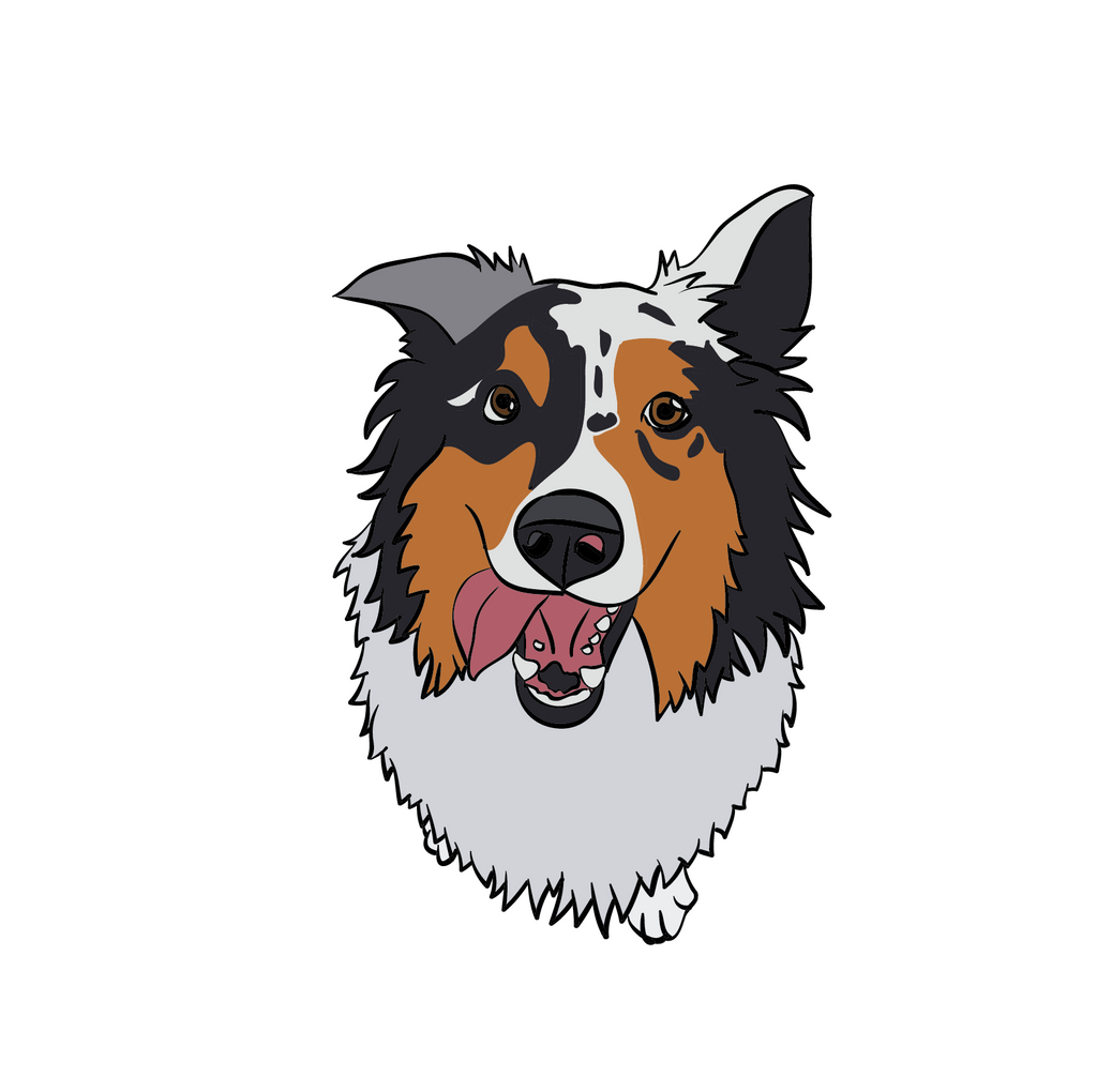 Illustration of Blue Merle Australian Shepherd sitting down as a sticker