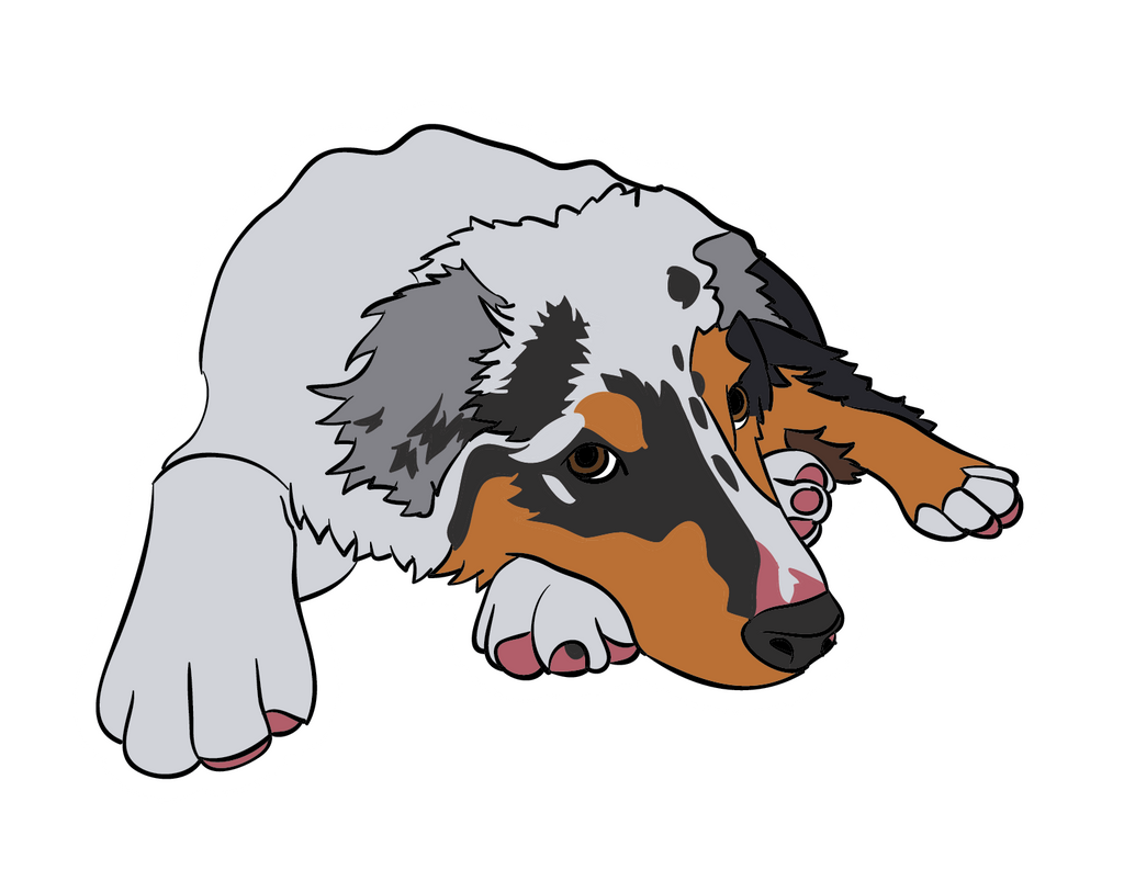 Illustration of Blue Merle Australian Shepherd puppy laying down and looking tired. Sticker