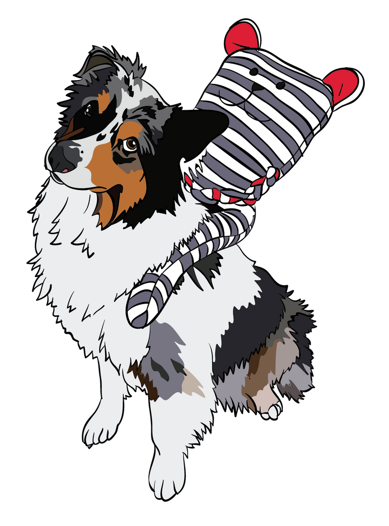 Limited Edition Illustration of Blue Merle Australian Shepherd sitting with a stuffed toy on his back. Sticker